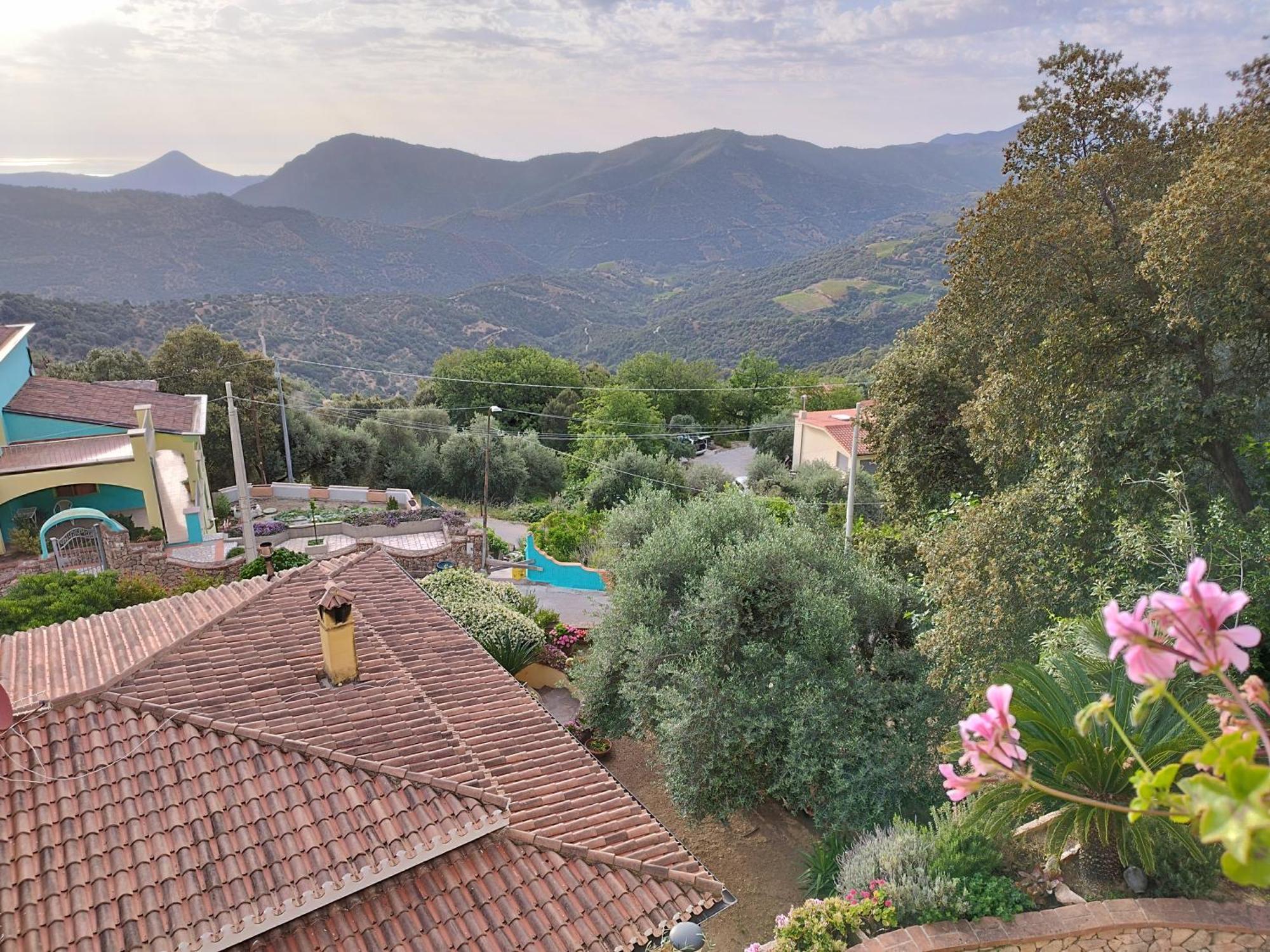 Appartamenti La Collina Jerzu المظهر الخارجي الصورة