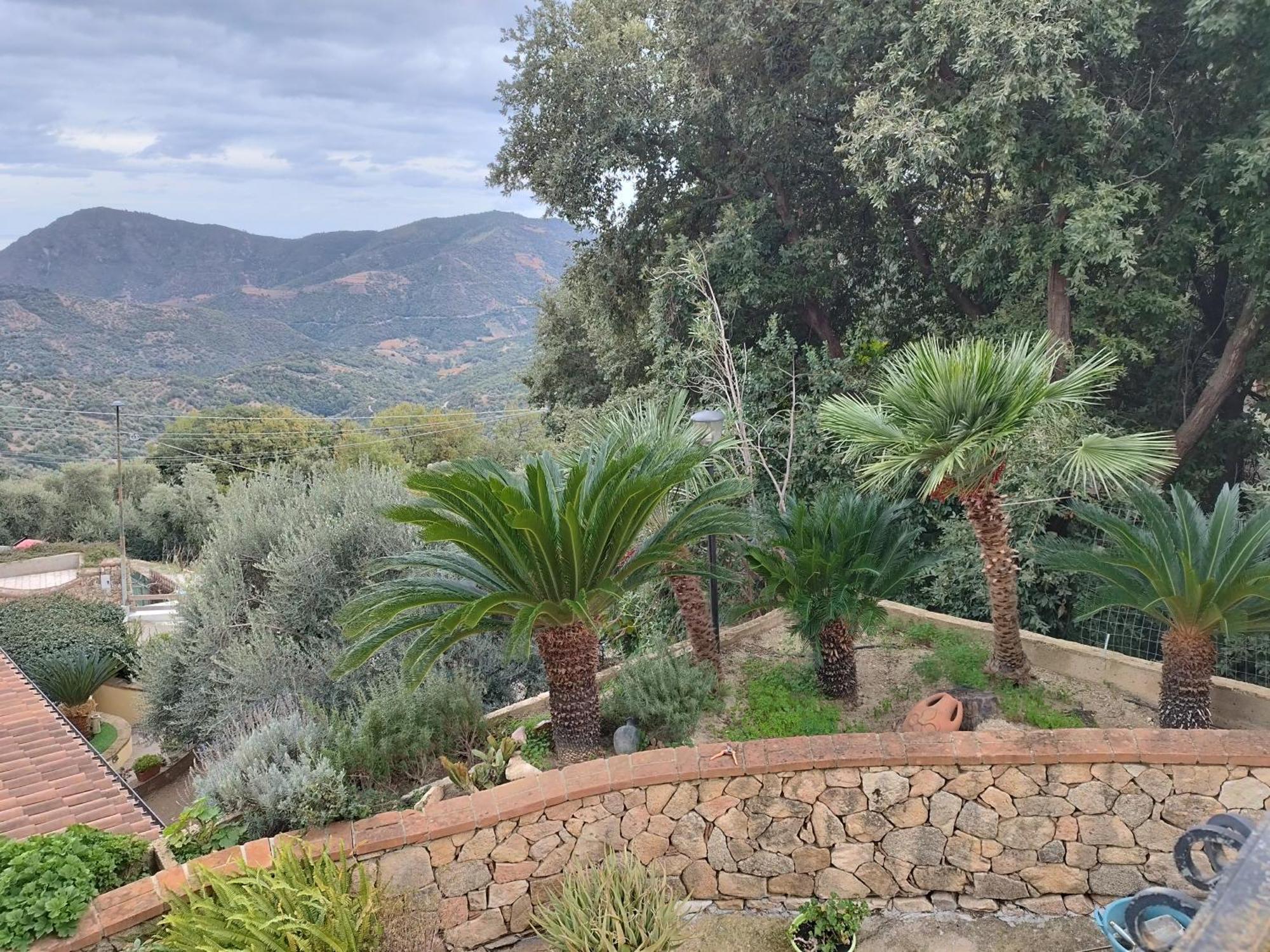 Appartamenti La Collina Jerzu المظهر الخارجي الصورة
