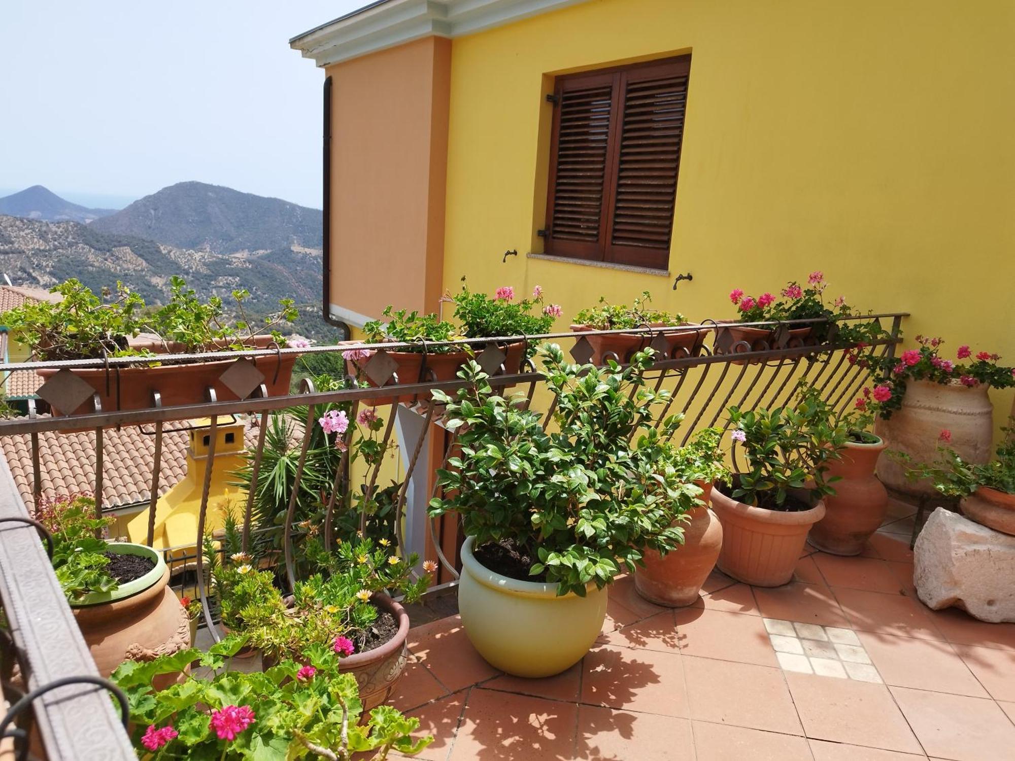 Appartamenti La Collina Jerzu المظهر الخارجي الصورة